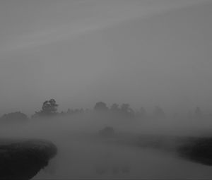 Preview wallpaper trees, fog, heavy, dark, nature