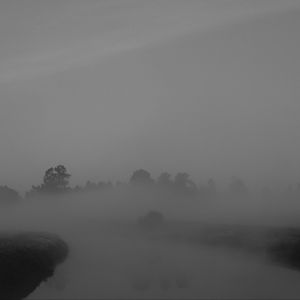 Preview wallpaper trees, fog, heavy, dark, nature