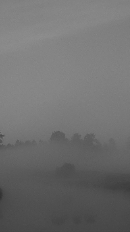 540x960 Wallpaper trees, fog, heavy, dark, nature