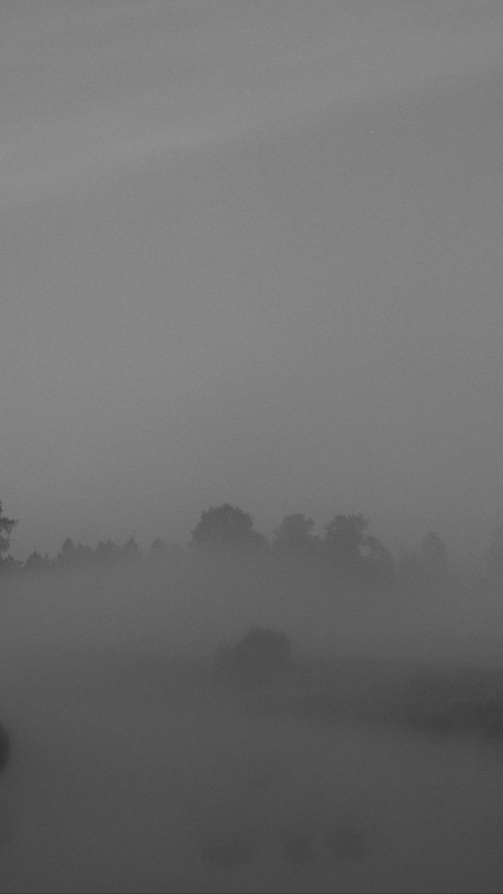 720x1280 Wallpaper trees, fog, heavy, dark, nature