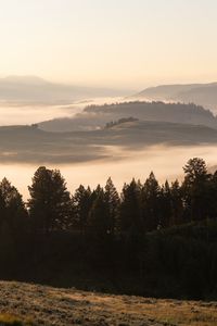 Preview wallpaper trees, fog, hills, landscape, nature