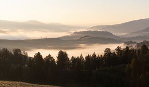 Preview wallpaper trees, fog, hills, landscape, nature