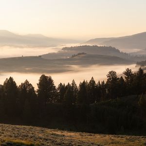 Preview wallpaper trees, fog, hills, landscape, nature