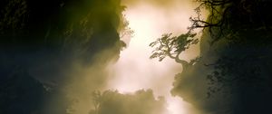 Preview wallpaper trees, fog, hills, cliffs