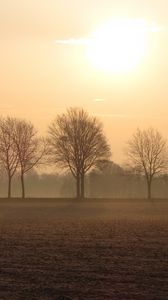 Preview wallpaper trees, fog, horizon, field