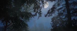 Preview wallpaper trees, fog, moon, night