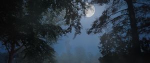 Preview wallpaper trees, fog, moon, night