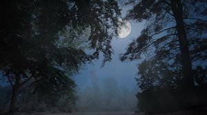 Preview wallpaper trees, fog, moon, night
