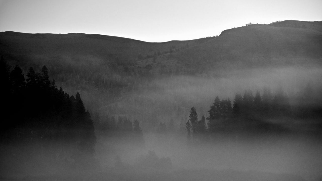 Wallpaper trees, fog, mountains, nature, black and white