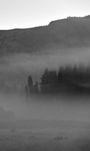 Preview wallpaper trees, fog, mountains, nature, black and white