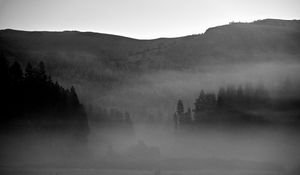 Preview wallpaper trees, fog, mountains, nature, black and white