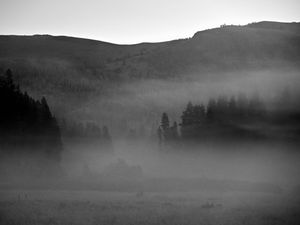 Preview wallpaper trees, fog, mountains, nature, black and white