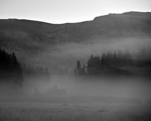 Preview wallpaper trees, fog, mountains, nature, black and white