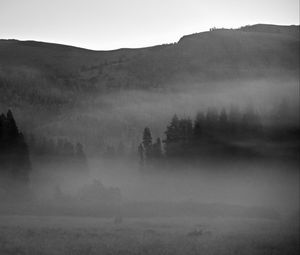 Preview wallpaper trees, fog, mountains, nature, black and white