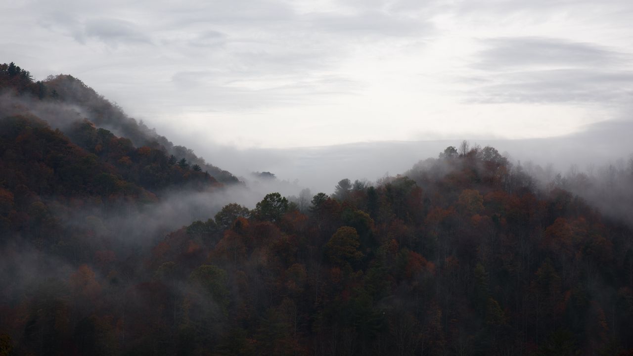 Wallpaper trees, fog, mountains, sky