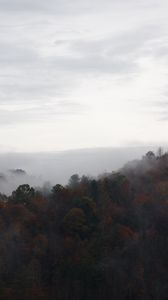 Preview wallpaper trees, fog, mountains, sky