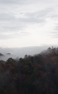 Preview wallpaper trees, fog, mountains, sky