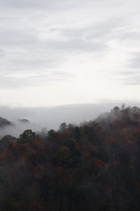 Preview wallpaper trees, fog, mountains, sky