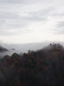 Preview wallpaper trees, fog, mountains, sky