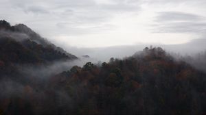 Preview wallpaper trees, fog, mountains, sky