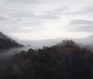 Preview wallpaper trees, fog, mountains, sky