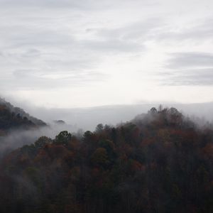 Preview wallpaper trees, fog, mountains, sky