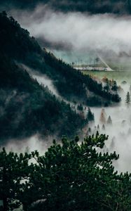 Preview wallpaper trees, fog, mountains, summit