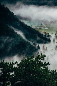 Preview wallpaper trees, fog, mountains, summit