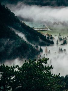 Preview wallpaper trees, fog, mountains, summit