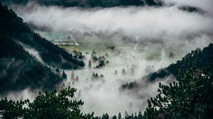 Preview wallpaper trees, fog, mountains, summit