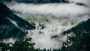 Preview wallpaper trees, fog, mountains, summit