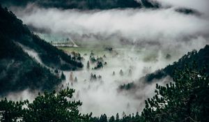 Preview wallpaper trees, fog, mountains, summit