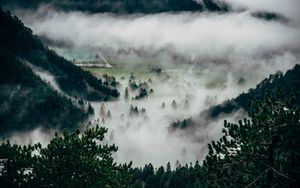 Preview wallpaper trees, fog, mountains, summit