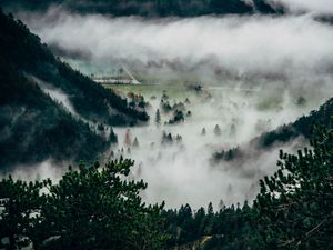 Preview wallpaper trees, fog, mountains, summit