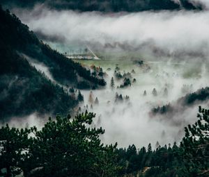 Preview wallpaper trees, fog, mountains, summit