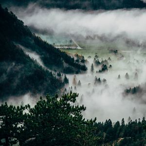 Preview wallpaper trees, fog, mountains, summit