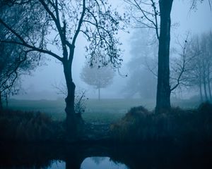 Preview wallpaper trees, fog, nature, pond, dark