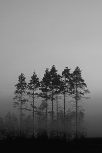 Preview wallpaper trees, fog, nature, dark