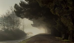 Preview wallpaper trees, fog, park, path