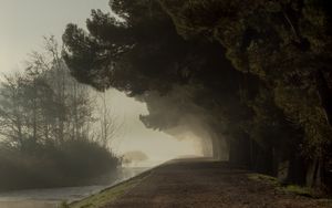 Preview wallpaper trees, fog, park, path
