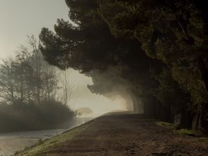 Preview wallpaper trees, fog, park, path
