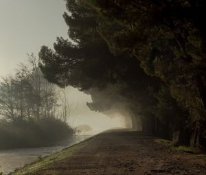 Preview wallpaper trees, fog, park, path
