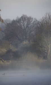 Preview wallpaper trees, fog, river, nature