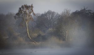 Preview wallpaper trees, fog, river, nature