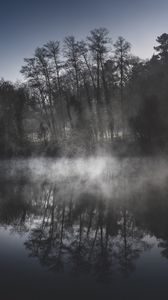 Preview wallpaper trees, fog, river, reflection, nature