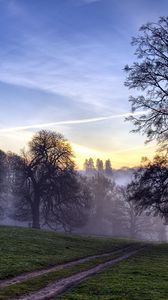 Preview wallpaper trees, fog, road, field, secret, evening, sky