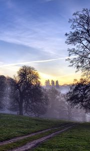 Preview wallpaper trees, fog, road, field, secret, evening, sky