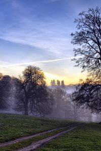 Preview wallpaper trees, fog, road, field, secret, evening, sky