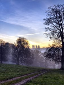 Preview wallpaper trees, fog, road, field, secret, evening, sky