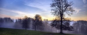 Preview wallpaper trees, fog, road, field, secret, evening, sky